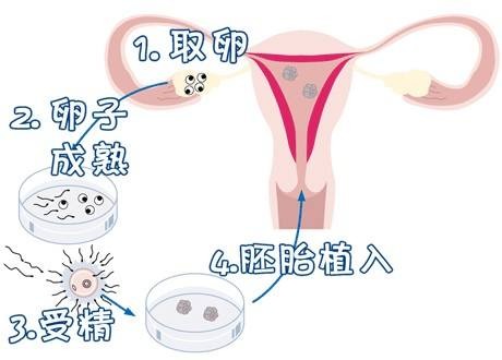 实验室设备